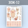 Плакат «Болезни зубов и челюсти» (ЗОЖ-32, пластик 2 мм, А1, 1 лист)